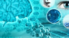 Timeline: Desde los orígenes al presente: Las neurociencias de la conducta, un viaje que no se detiene.