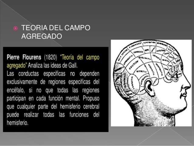 Teoría del Campo Agregado.