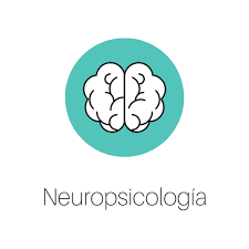 Termino Neuropsicología