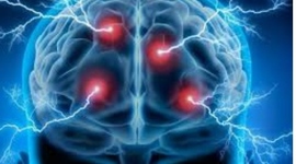 Timeline: Evolución de la neurociencia de la conducta