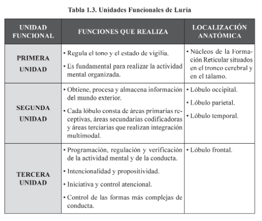 Neuropsicología contemporánea
