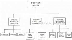Estructura organizacional multidivisional