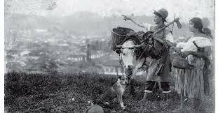 Concurso de texto de historia de Colombia.