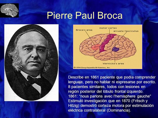 Pierre Paul Broca  En 1861 publicó sus observaciones