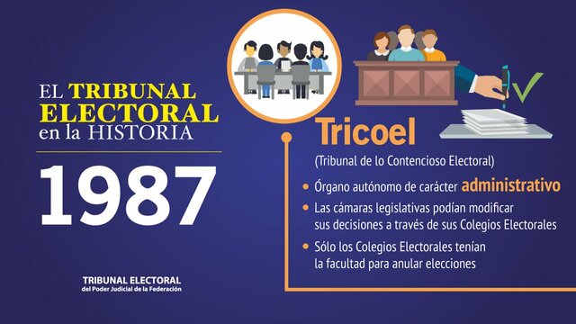 Tribunal de lo Contencioso Electoral |TRICOEL.