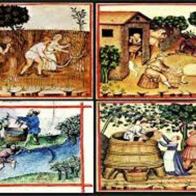 Timeline: Historias de la nutrición