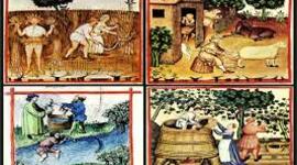 Timeline: Historias de la nutrición