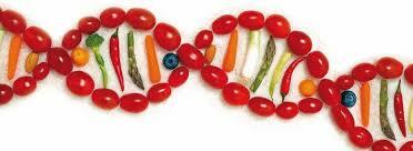 EL FUTURO QUE NOS AGUARDA: EL EMPLEO DE LA GENÓMICA EN LA ALIMENTACIÓN