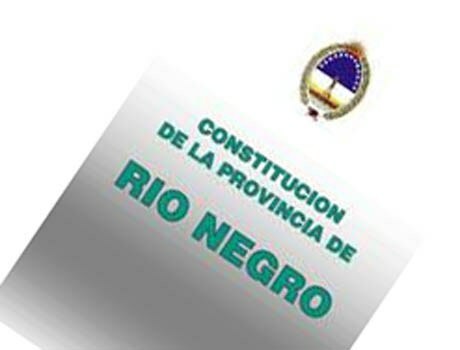 1863 CONSTITUCION DE RIONEGO