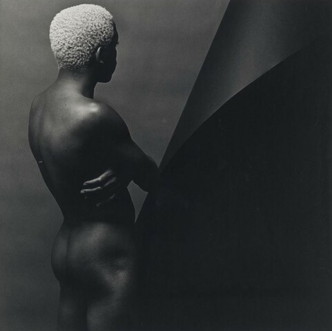 Publicación de "Z Portfolio"