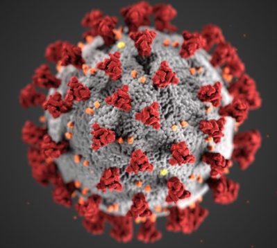 "2020''...Acabo la primaria