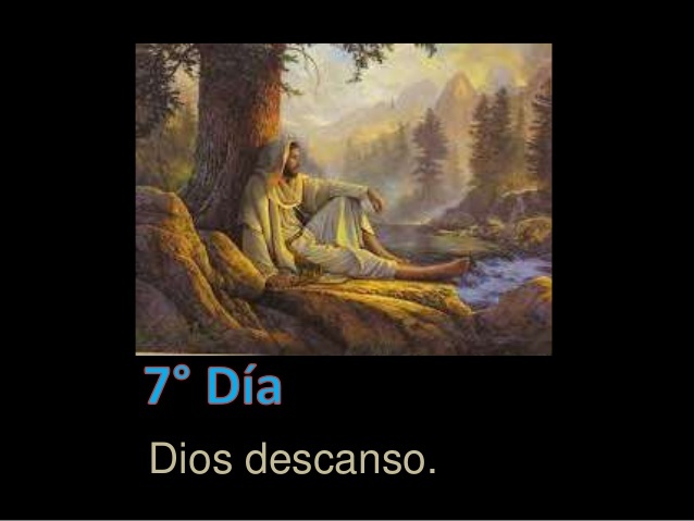 La creación: Día 7