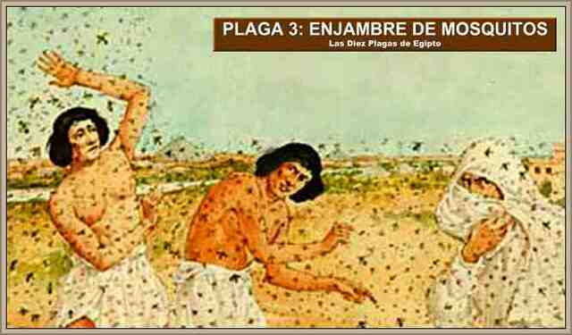 Las 10 plagas de Egipto: 3ª