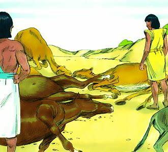 Las 10 plagas de Egipto: 5ª