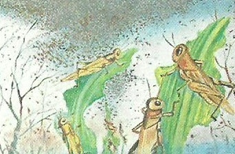 Las 10 plagas de Egipto: 8ª