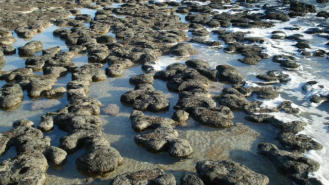 Inicio Mesoproterozoico