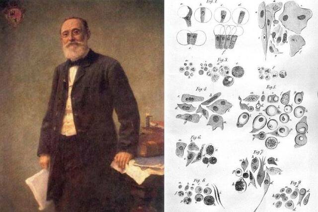 Rudolf Virchow