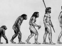 Theory of Evolution-Charles Darwin