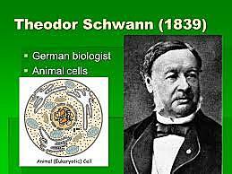 Theodor Schwann