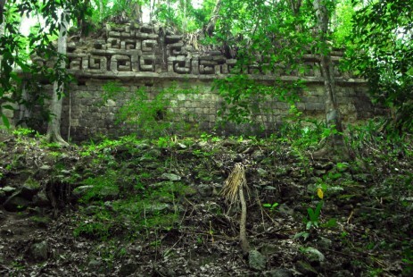 Deforestación - Sequía