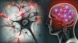 Timeline: Historia de las neurociencias