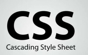 El auge del CSS