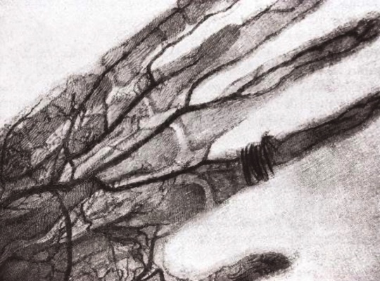 La primera radiografía de un órgano del tórax in situ fue hecha por el escocés John MacIntyre