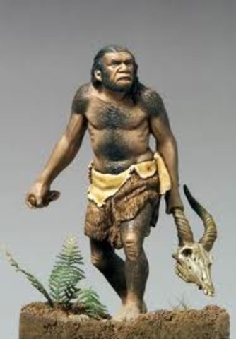Homo Sapien Neandrathalensis ''Wise Man