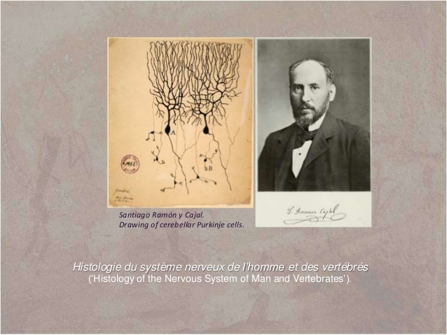 Johannes Evangelista Purkinje