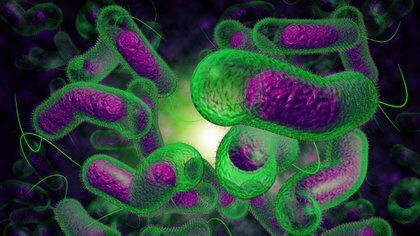 Medicina social 1850 a 1870