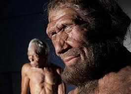 Comunicación Verbal