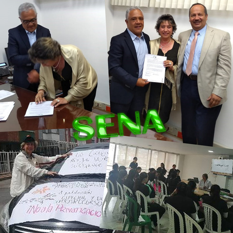 SENA – CEGAFE
