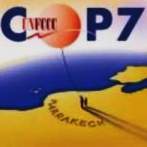 COP 7: Resultados - Protocolo de Kioto y MDL