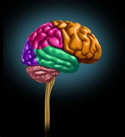 Código Deontológico del Psicológico