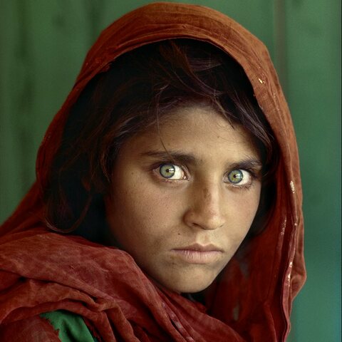 Sharbat Gula