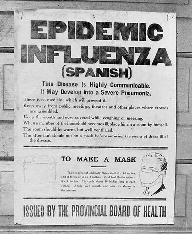 Influenza epidemic