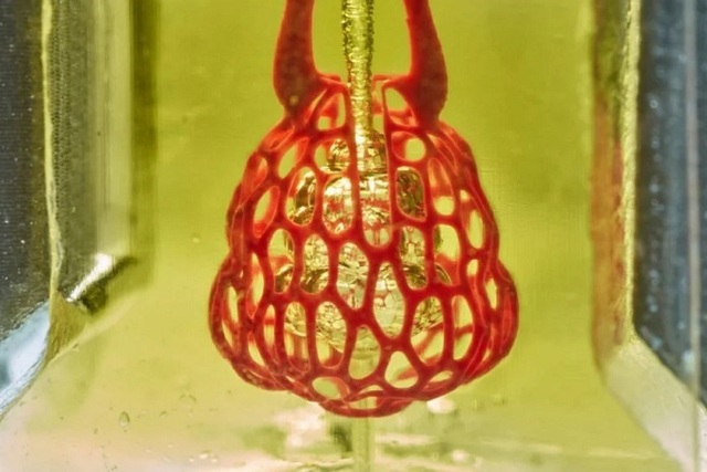 implante de órgano modificado con impresión 3D