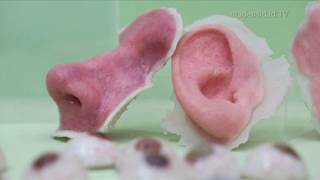 primera venta de tejidos humanos bioimpresos