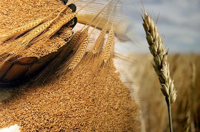 Nacimiento de Francisco