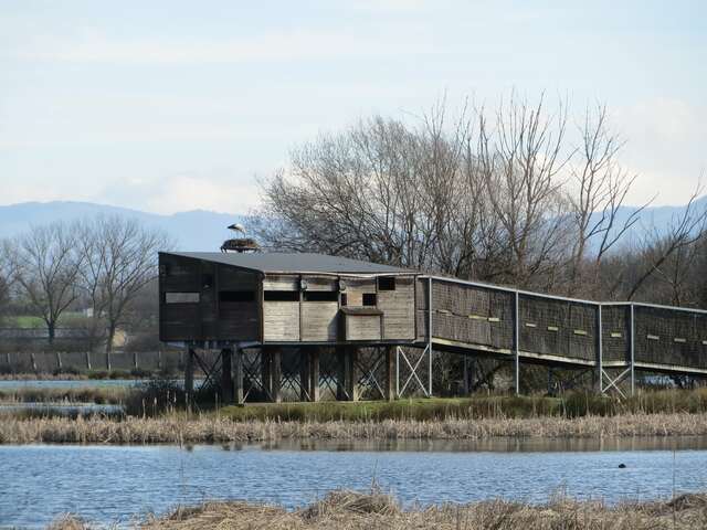Observatorios de aves