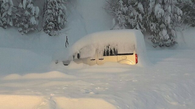 La nevada mes vestia de la meva vida