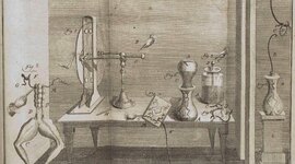 Timeline: LUIGI GALVANI