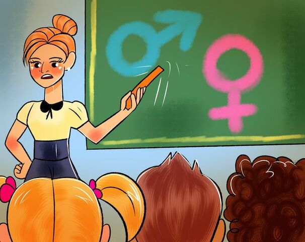 Resolución 3353 de 1993, Proyecto nacional de Educación sexual