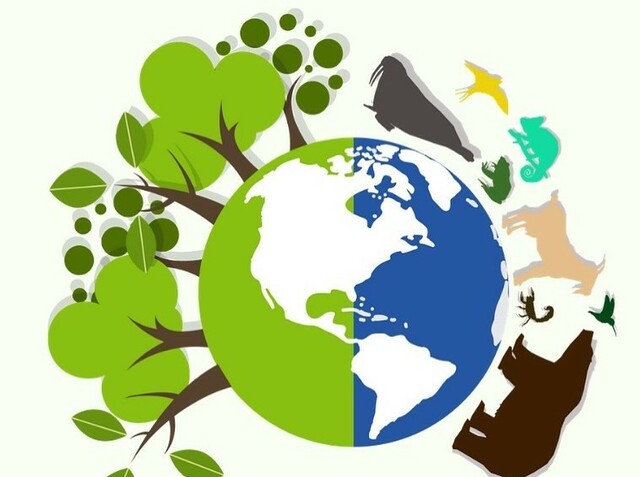 INICIO PROGRAMA BIOLOGICO INTERNACIONAL