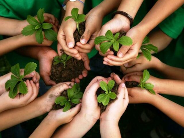SURGE EL FONDO DE DEFENSA DEL MEDIO AMBIENTE: