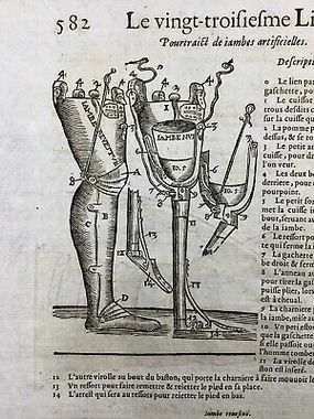 Début articulation - Ambroise Paré