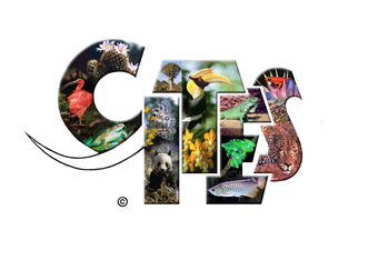 CONVENCIÓN SOBRE EL COMERCIO INTERNACIONAL DE ESPECIES AMENAZADAS DE FAUNA Y FLORA SILVESTRES (CITES)