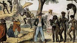 Timeline: Historia De La Participación Política De Colombia