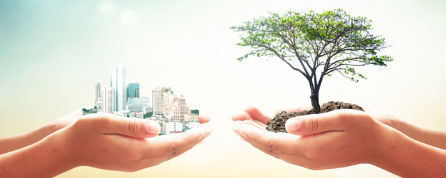 PLAN NACIONAL DE DESARROLLO INCORPORACION DE PROGRAMAS Y PROYECTOS OBLIGATORIOS