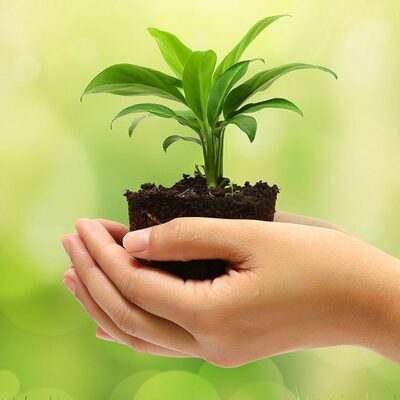 Timeline: Principales Hitos en la Educación Ambiental en Colombia